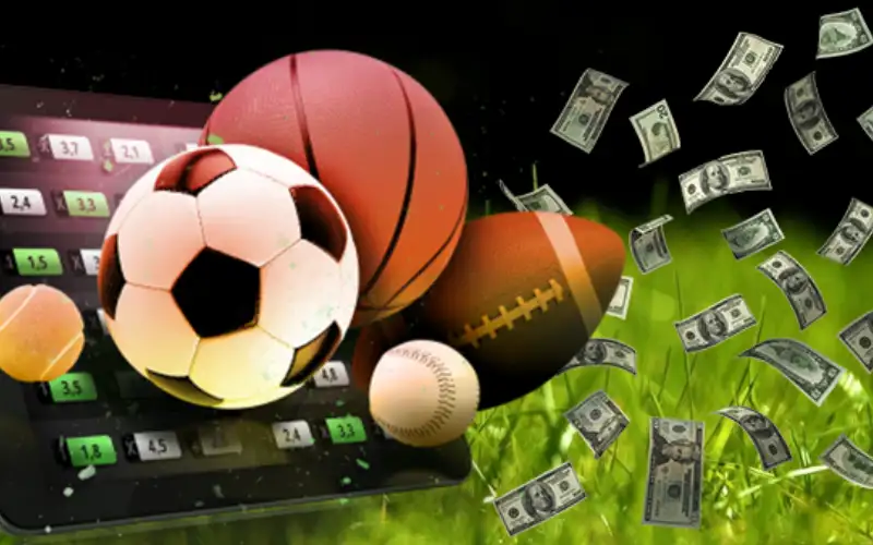 Sports Betting Gambling